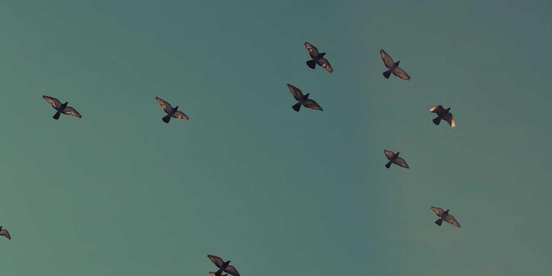 UV平板打印机专用墨水：从办公用品色带到东方色带的技术革新与应用解析