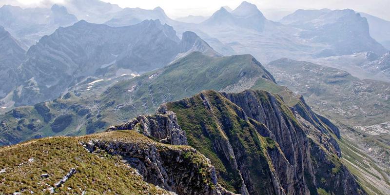 东方色带与硒鼓视角：大幅面打印机颜料墨水vs染料墨水在艺术品复制中的终极选择