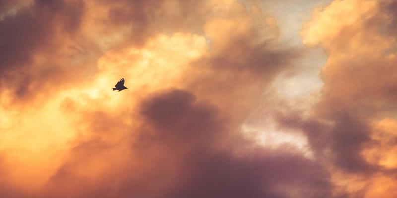 东方色带与硒鼓选购指南：揭秘打印耗材70%成本背后的品质密码