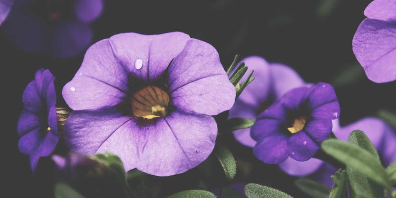 从墨盒硒鼓到户外巨幕：工业级UV墨水如何重塑户外广告的耐久与色彩