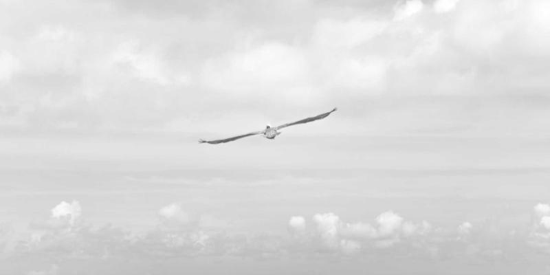 从墨盒选择看企业办公成本优化：文具与办公用品的精细化管控之道