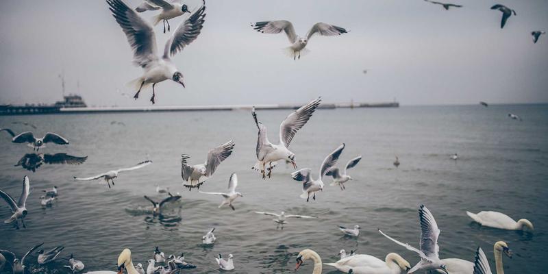 办公文具新趋势：东方色带引领纺织品数码直喷墨水环保与色牢度革命