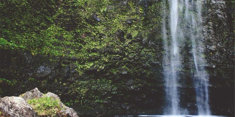 墨盒与打印耗材选择指南：如何预防喷墨打印机喷头堵塞