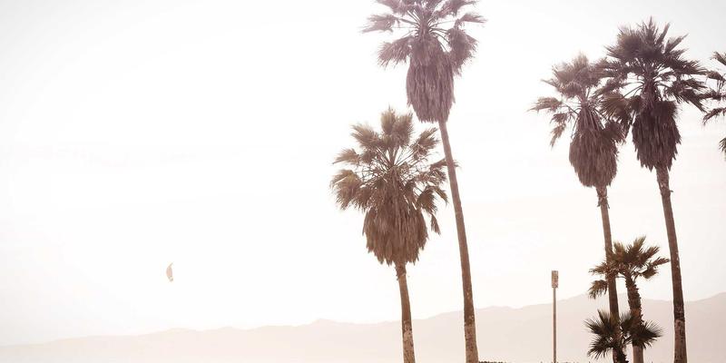 墨盒芯片破解与东方色带循环利用：办公耗材背后的法律红线与技术伦理困局