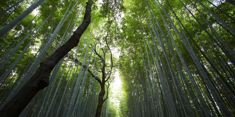 打印机喷头清洗液成分揭秘：东方色带与复印纸用户的专业指南