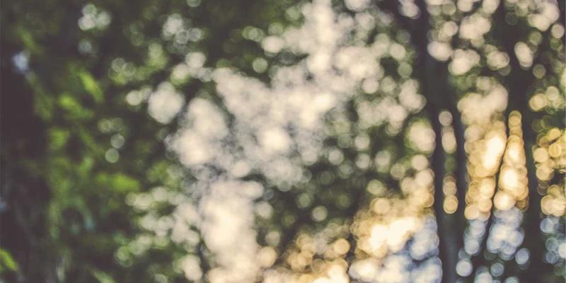 打印耗材51：从色带到文具，揭秘办公效率背后的核心支撑