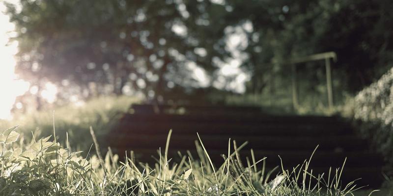 打印耗材选购指南：从复印纸到东方色带，打造高效办公环境