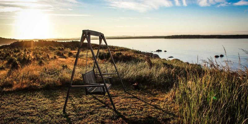 打印耗材选购指南：深度解析东方色带、墨盒与硒鼓的核心差异与应用场景