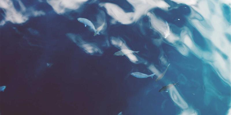 打印耗材选购指南：深度解析东方色带、硒鼓与色带的核心价值与选择策略