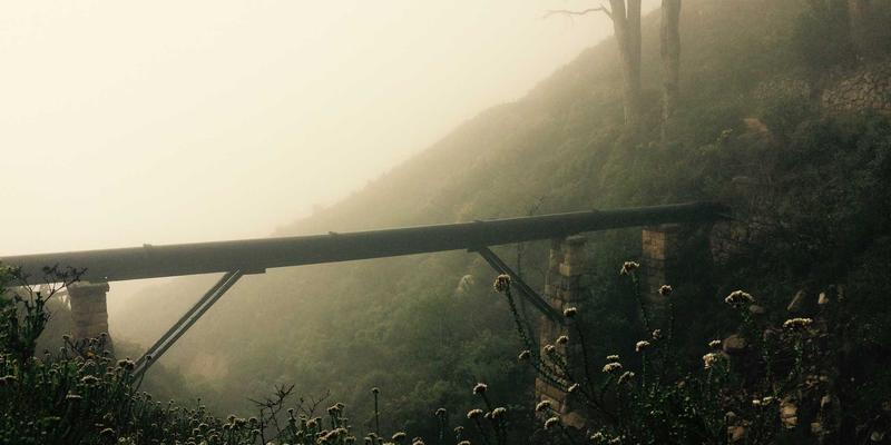 教育机构如何通过优化色带等打印耗材采购实现成本控制？东方色带供应商管理策略解析