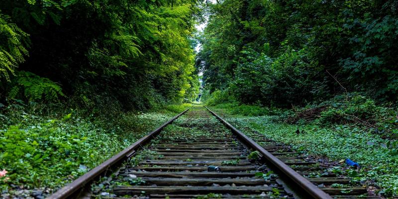 环保打印新趋势：从复印纸、色带到硒鼓的绿色革命与市场洞察