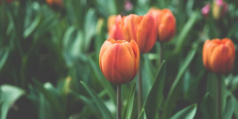 食品包装柔性版印刷中水性油墨的迁移安全与干燥工艺：从硒鼓、文具到复印纸的跨界启示